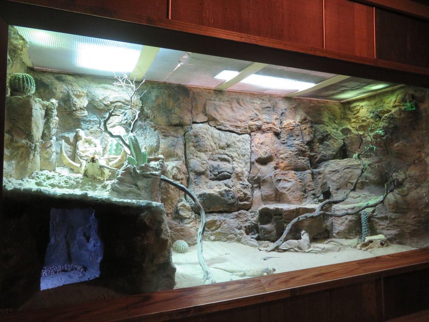 American Desert Exhibit