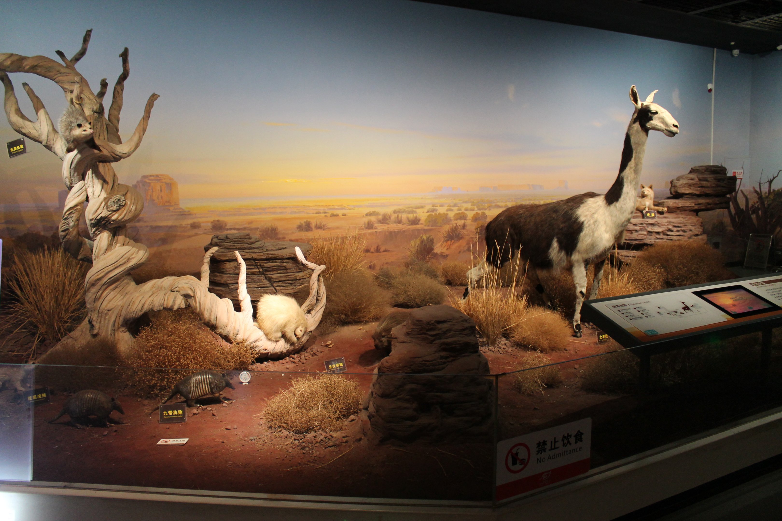 American Deserts - Shaanxi Nature Museum