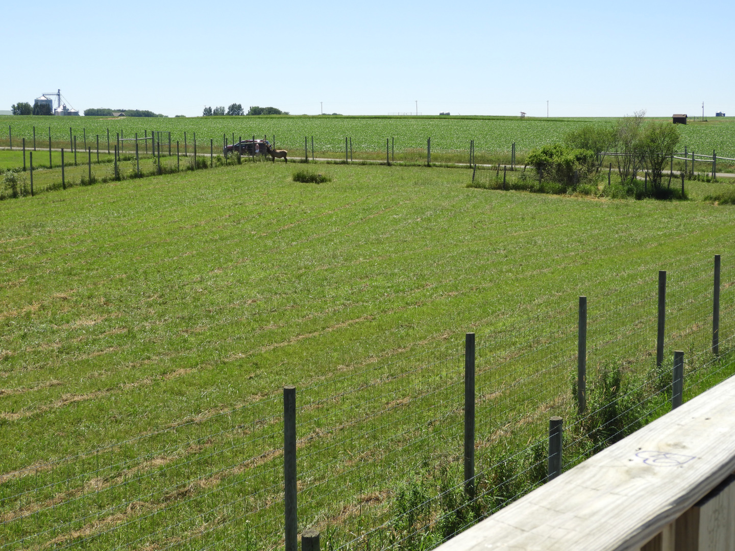 American Elk exhibit #1 (first fourth) - Zoo Drive - Wildwood Zoo