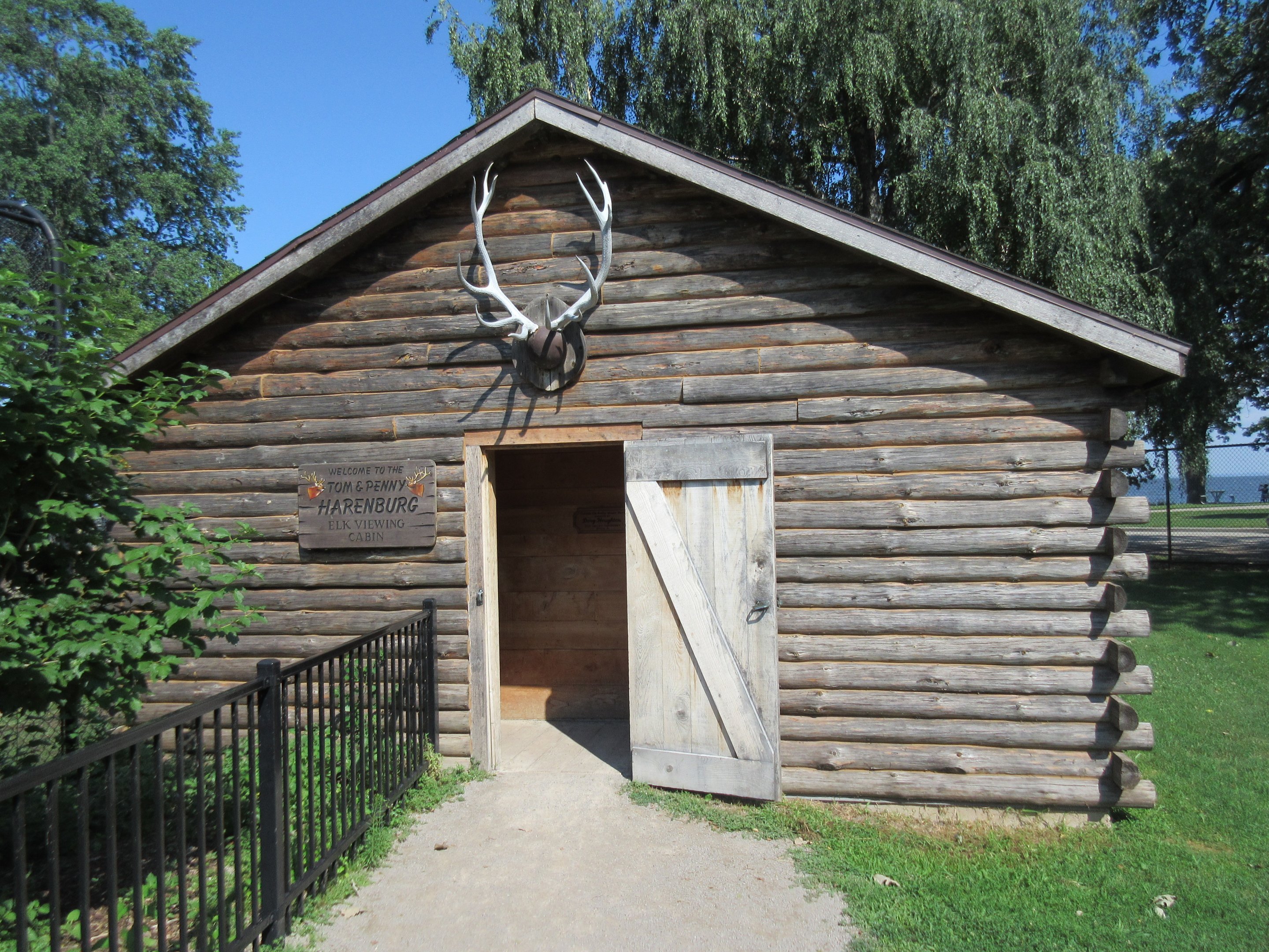 American Elk Exhibit - Viewing Area