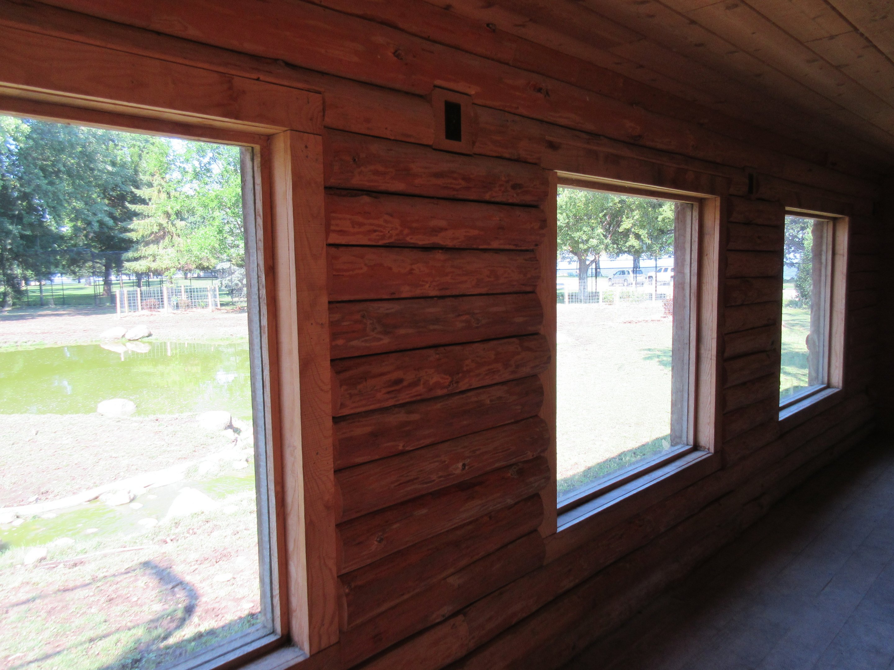 American Elk Exhibit - Viewing Area