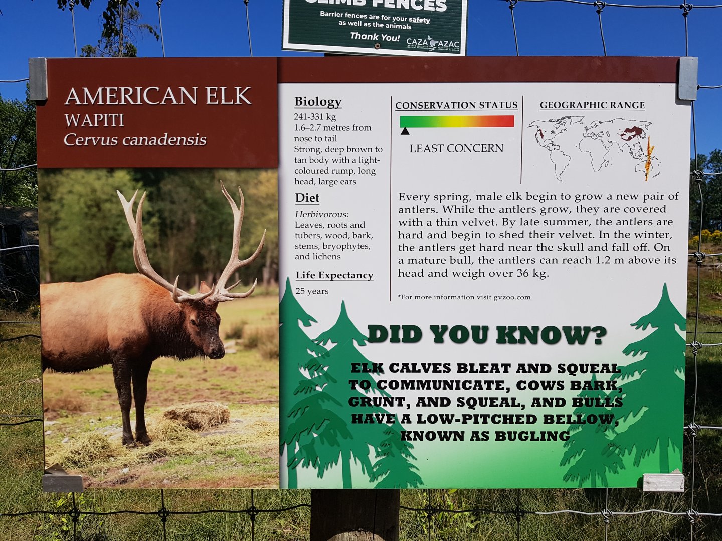 American Elk Sign