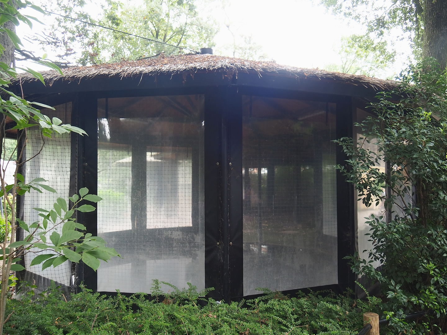 American flamingo and Bar-headed goose indoor housing, 2023-08-17