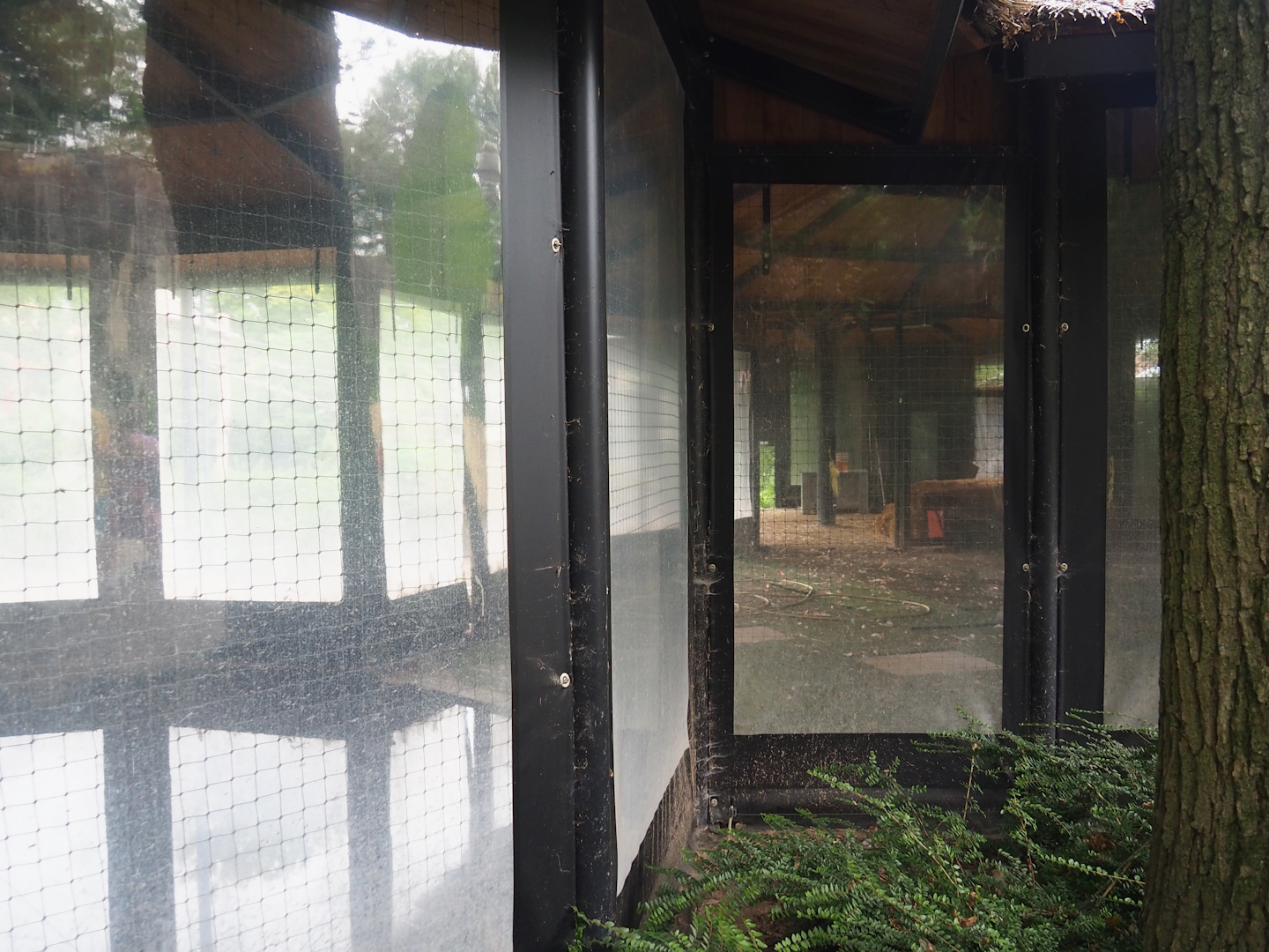 American flamingo and Bar-headed goose indoor housing, 2023-08-17