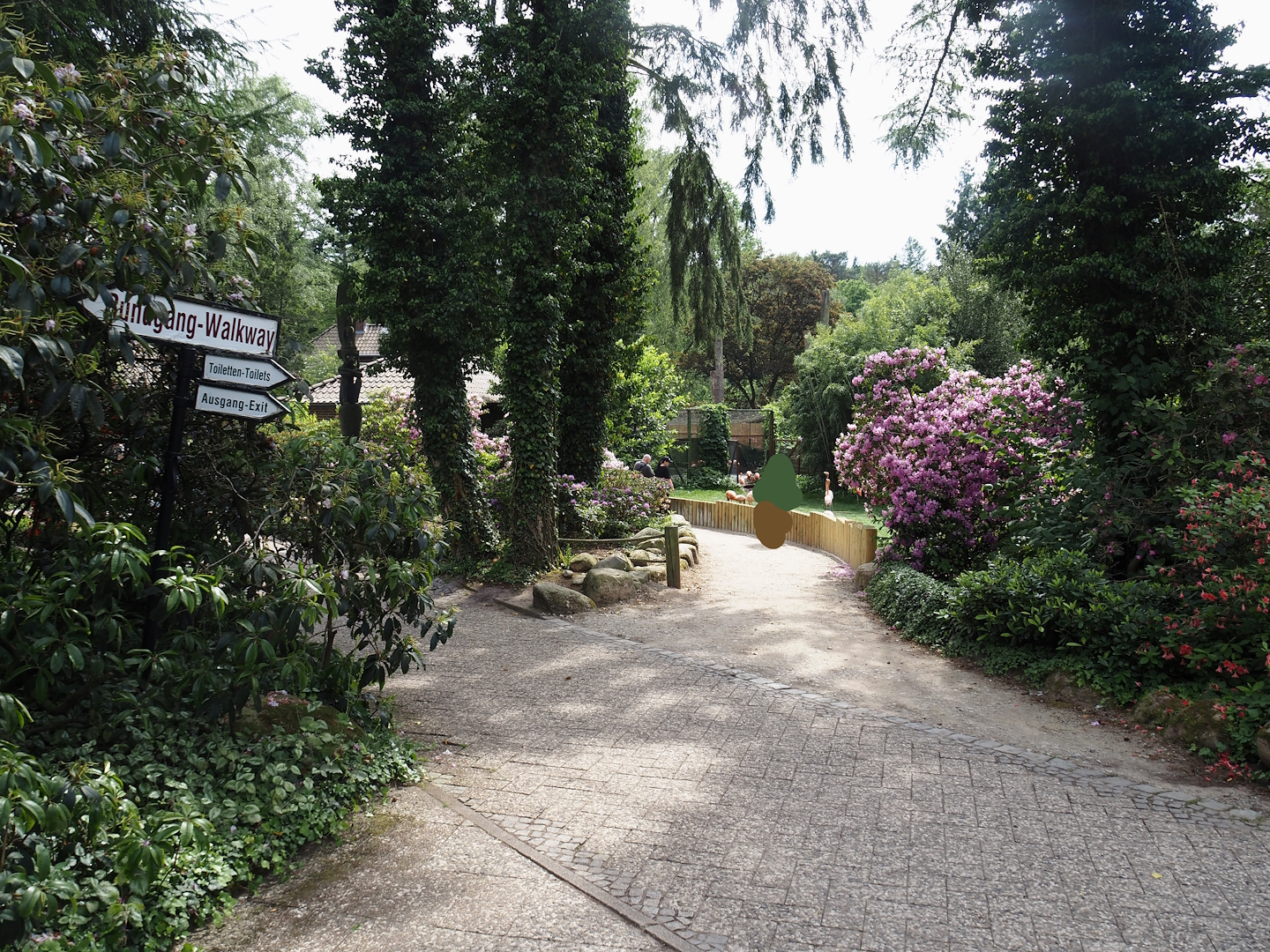 American flamingo exhibit viewing area, 2024-05-21