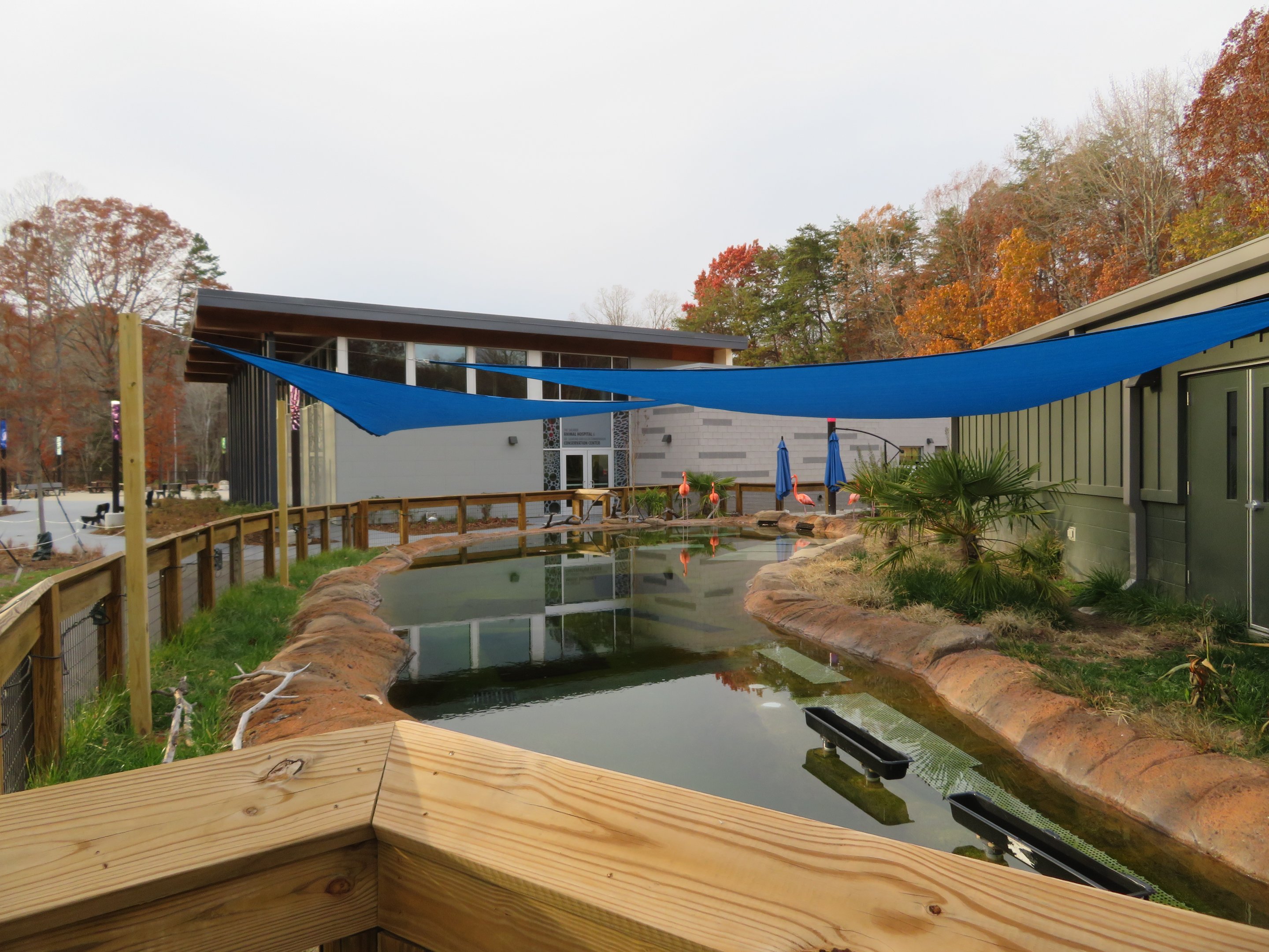 American Flamingo Exhibit
