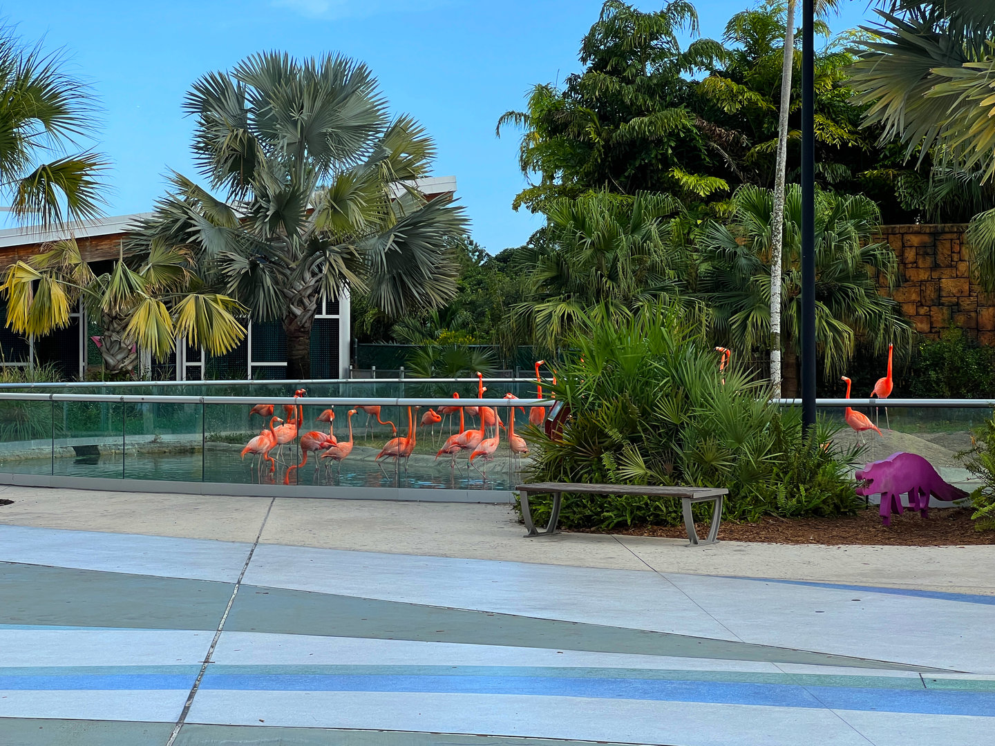 American Flamingo Exhibit