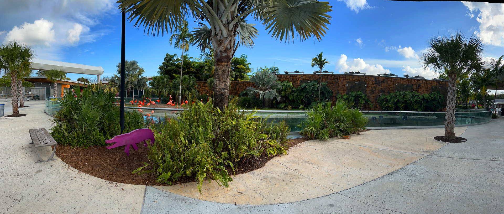 American Flamingo Exhibit