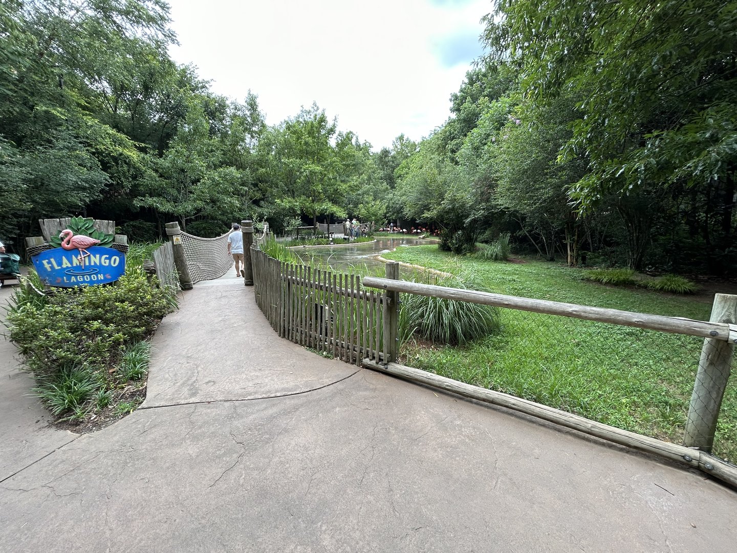 American Flamingo Exhibit