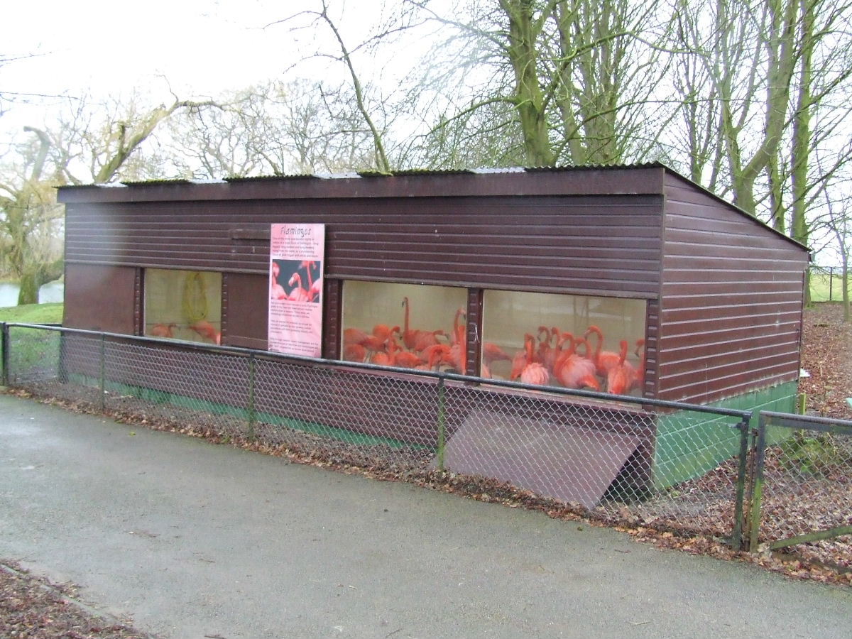 American Flamingo House