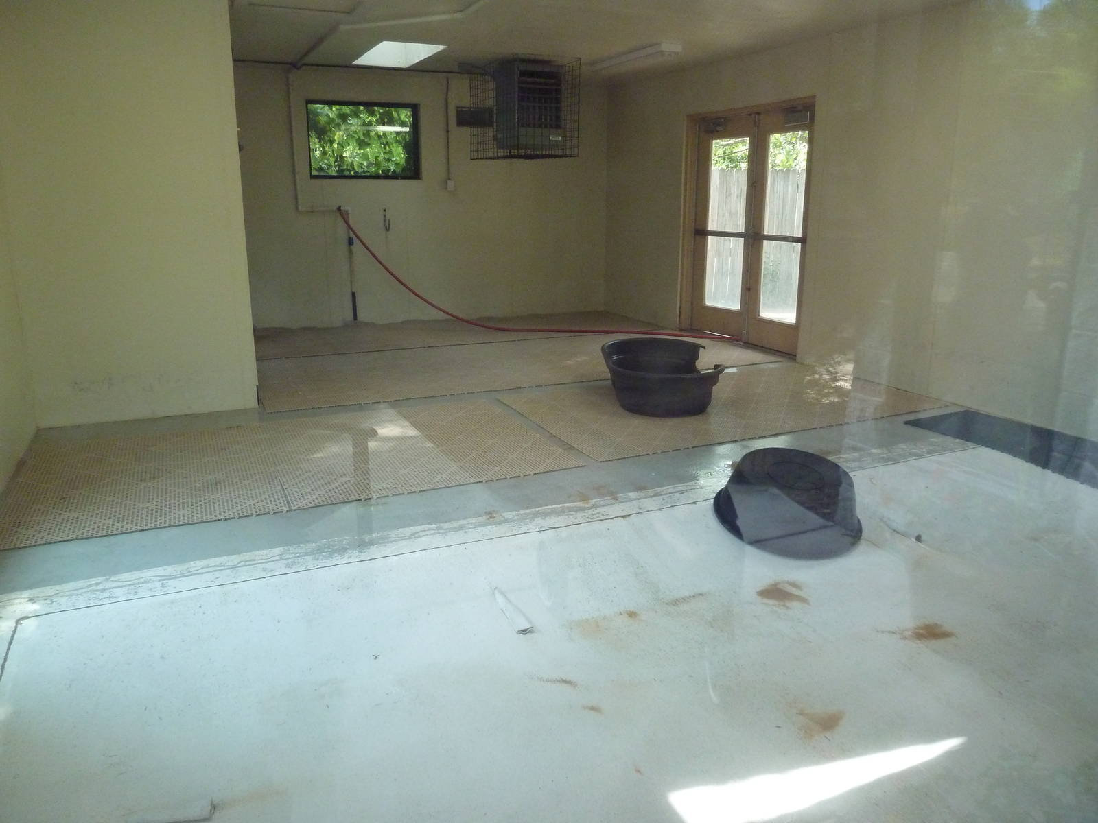 American Flamingo Indoor Exhibit