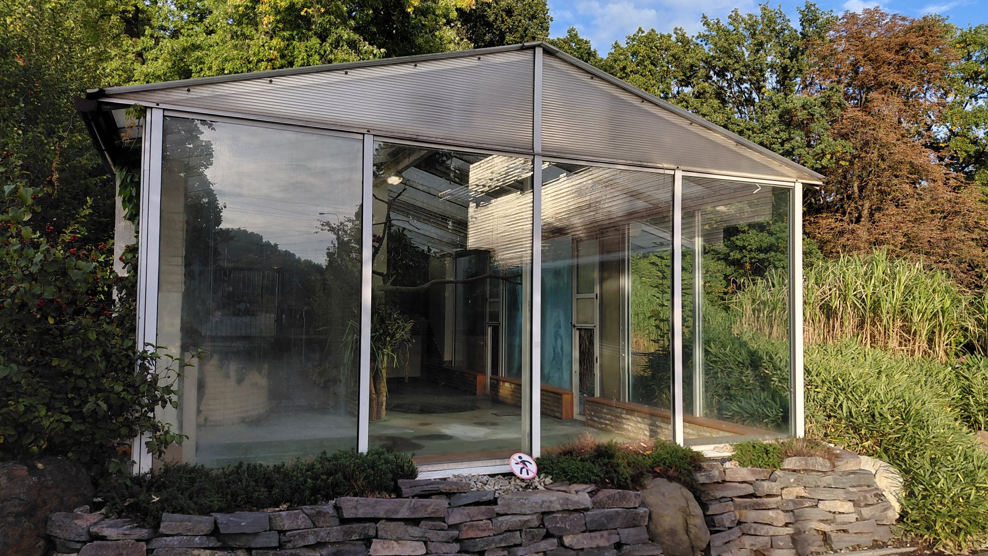 American flamingo indoor exhibit