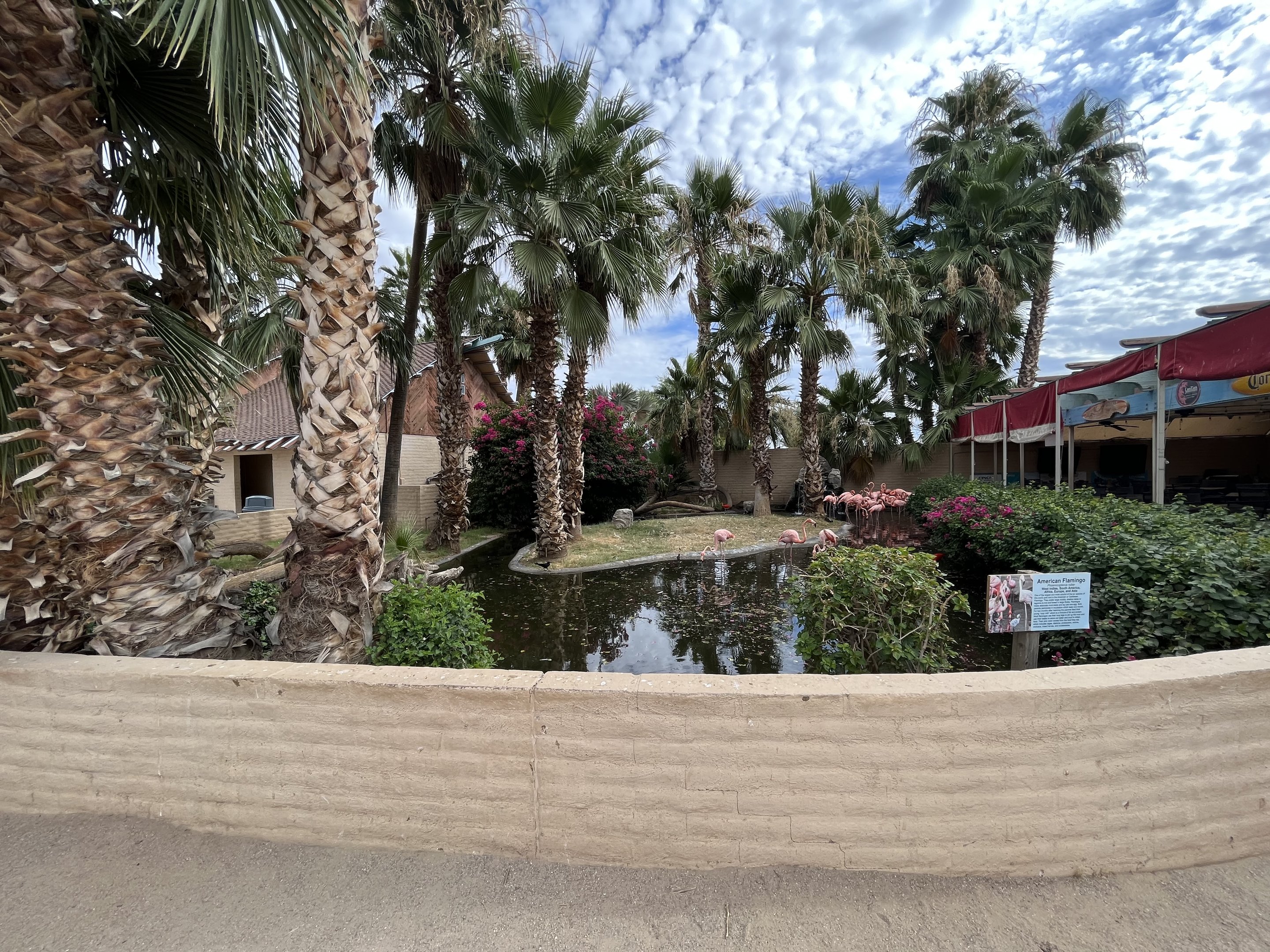 American Flamingo/Scarlet Ibis Exhibit