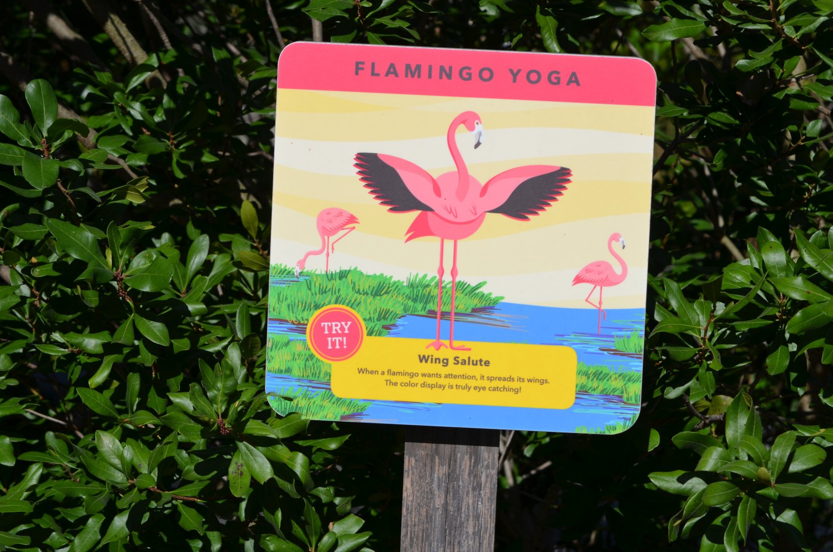 American Flamingo Sign