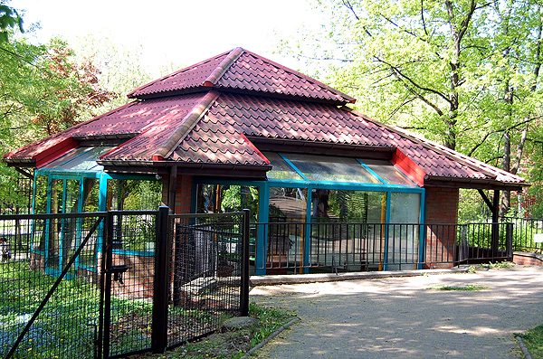 American Flamingo's bulding