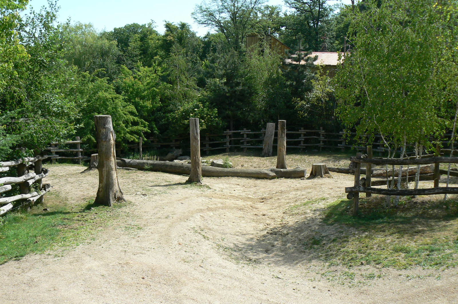 American forest and fort Cheyenne - American bisons exhibit
