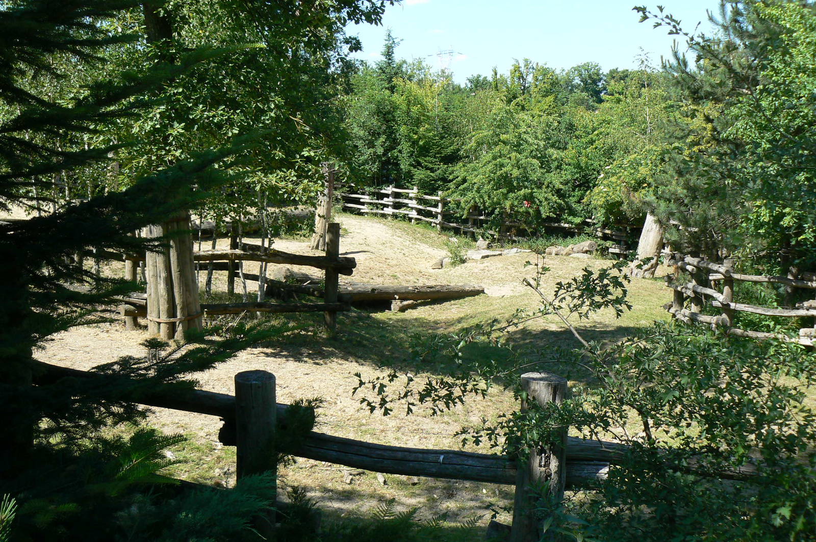 American forest and fort Cheyenne - American bisons exhibit