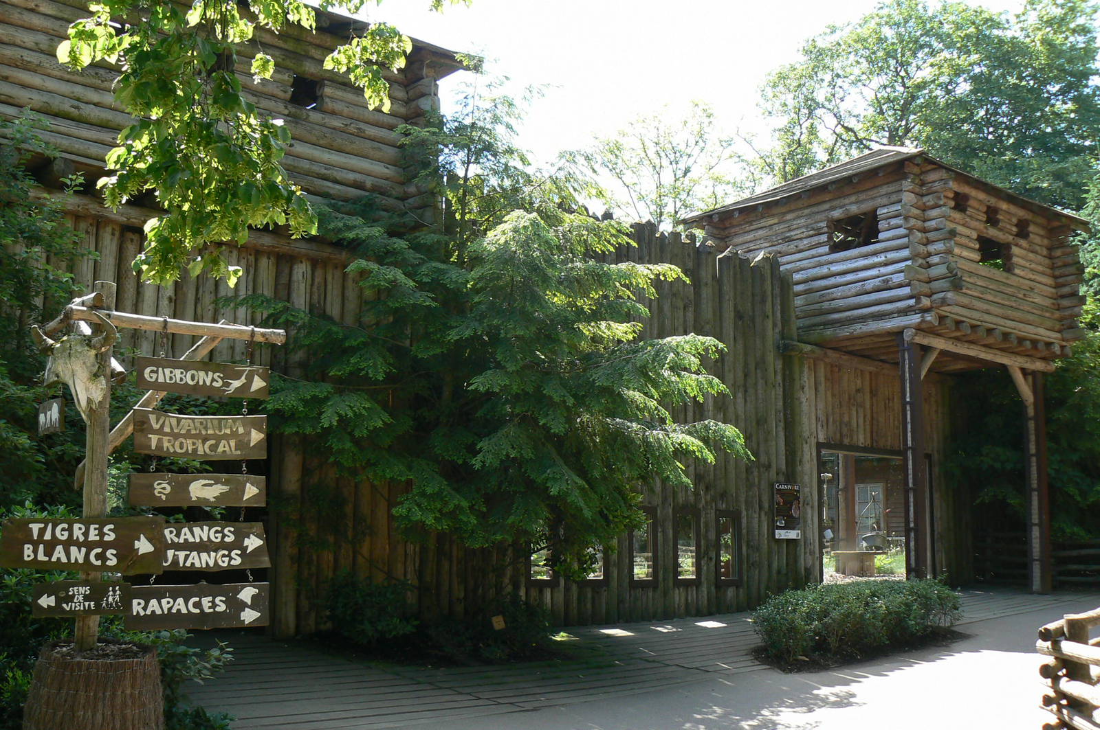American forest and fort cheyenne - Eurasian lynx exhibit