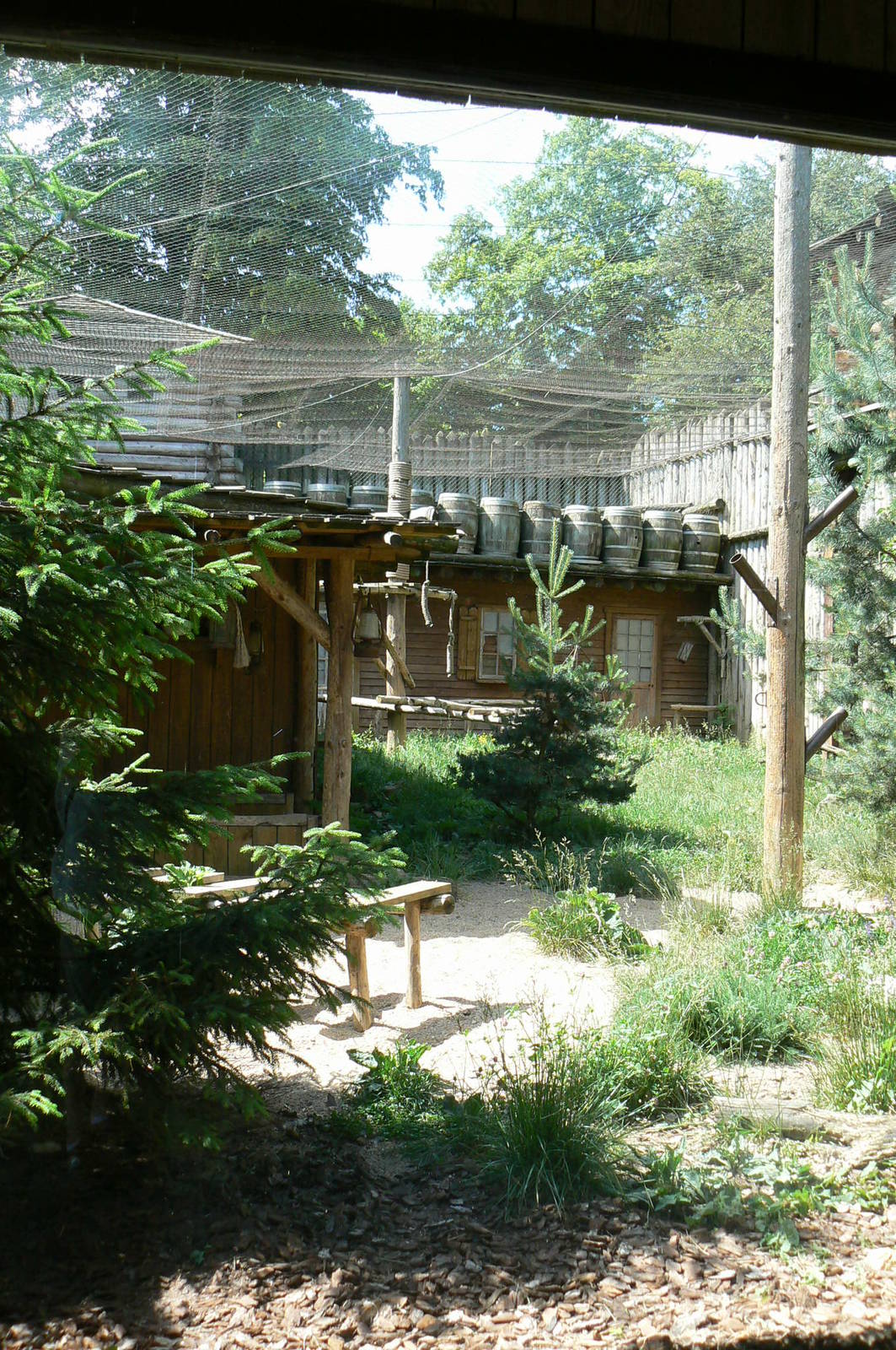 American forest and fort cheyenne - Eurasian lynx exhibit