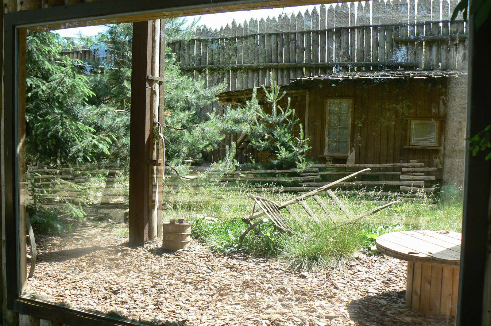 American forest and fort Cheyenne - Eurasian lynx exhibit
