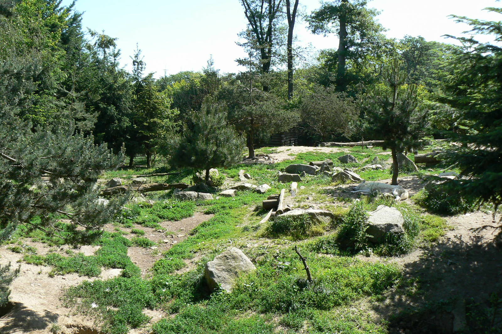 American forest and fort Cheyenne - Grey wolves exhibit