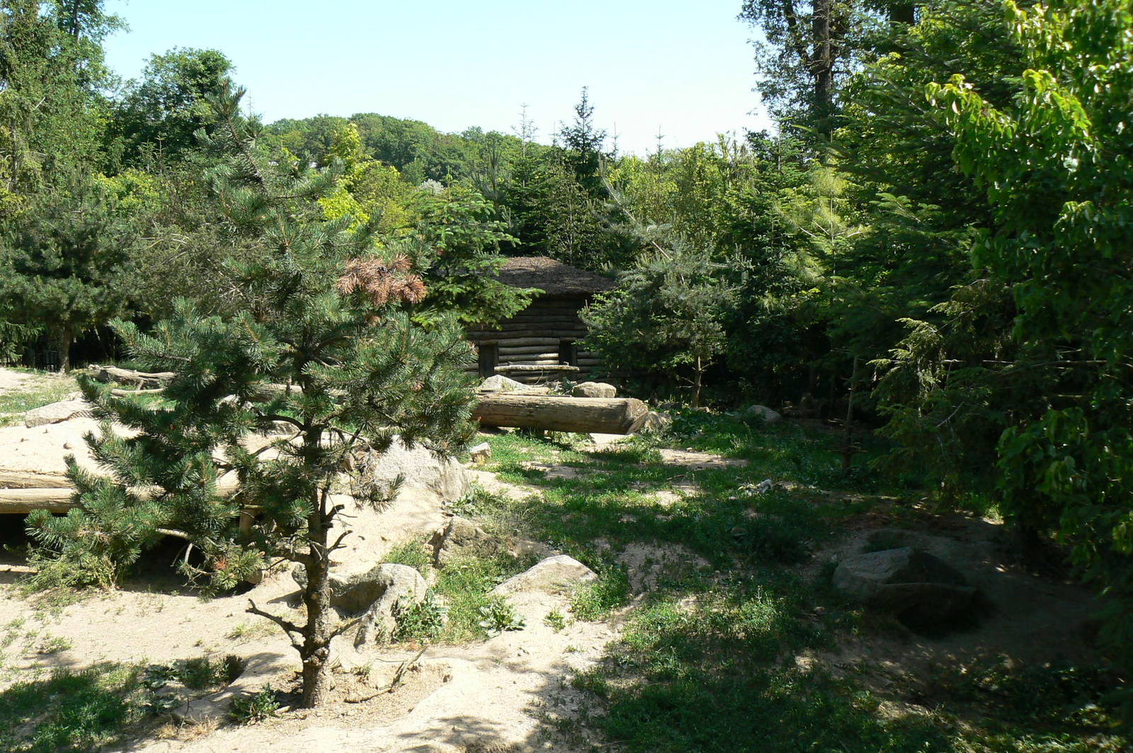American forest and fort Cheyenne - Grey wolves exhibit