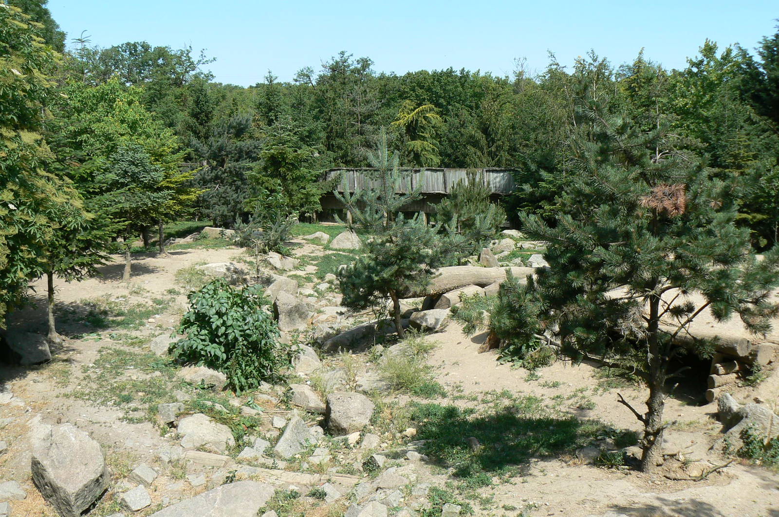 American forest and fort Cheyenne - Grey wolves exhibit