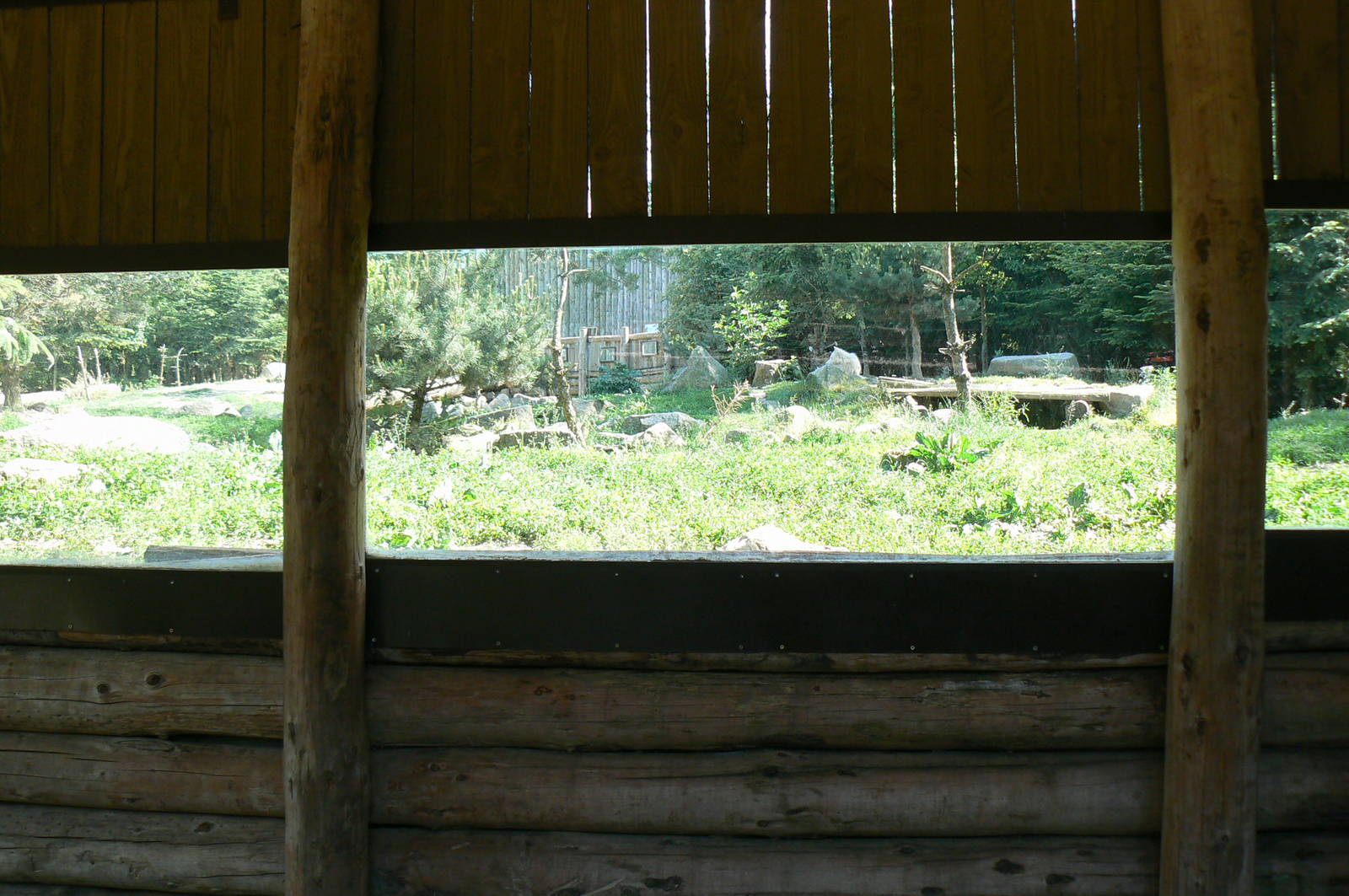 American forest and fort Cheyenne - Grey wolves exhibit
