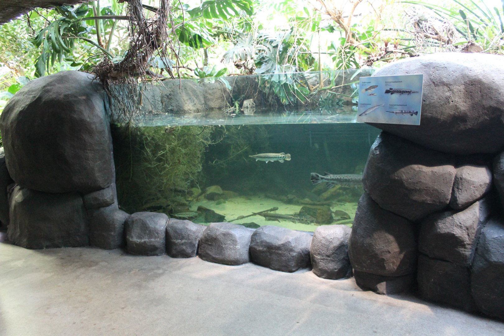 American freshwater tank