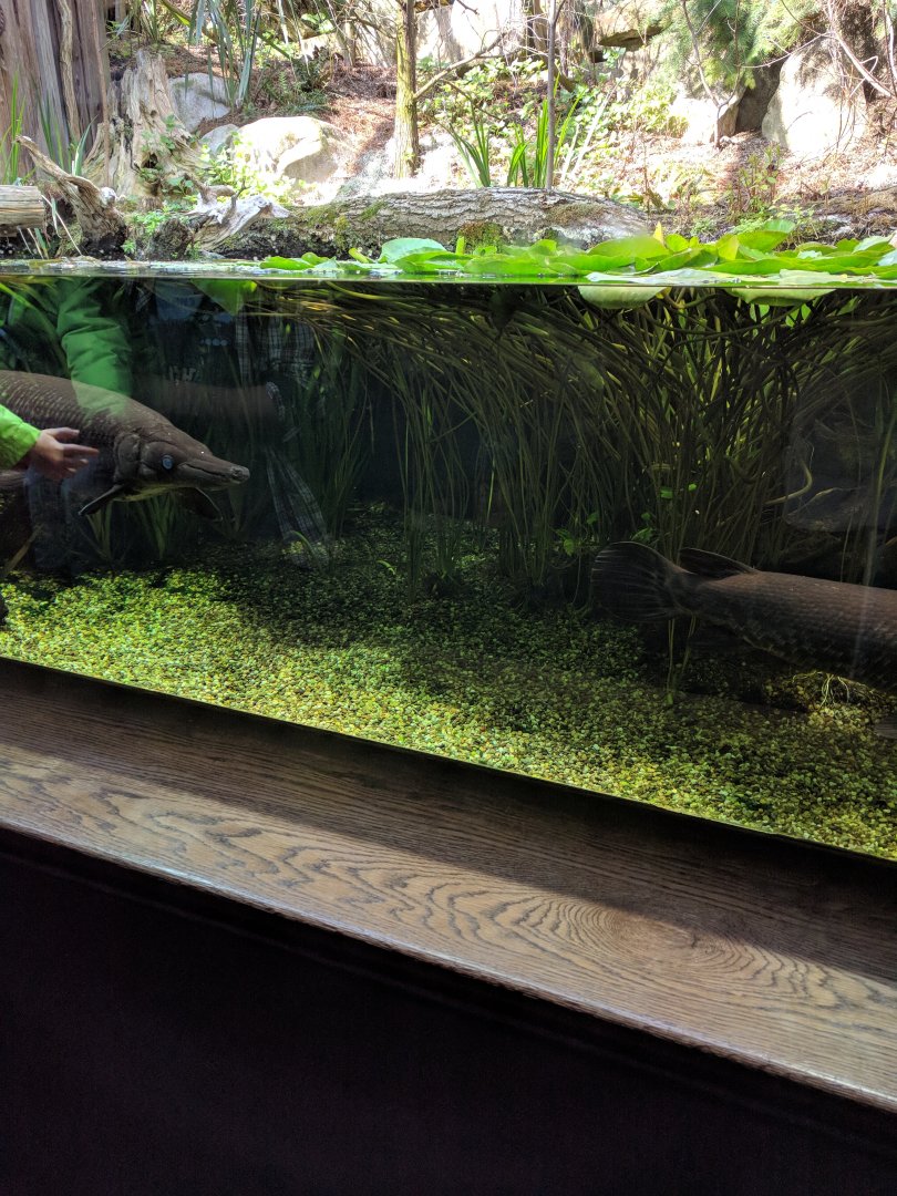 American Freshwater Tank