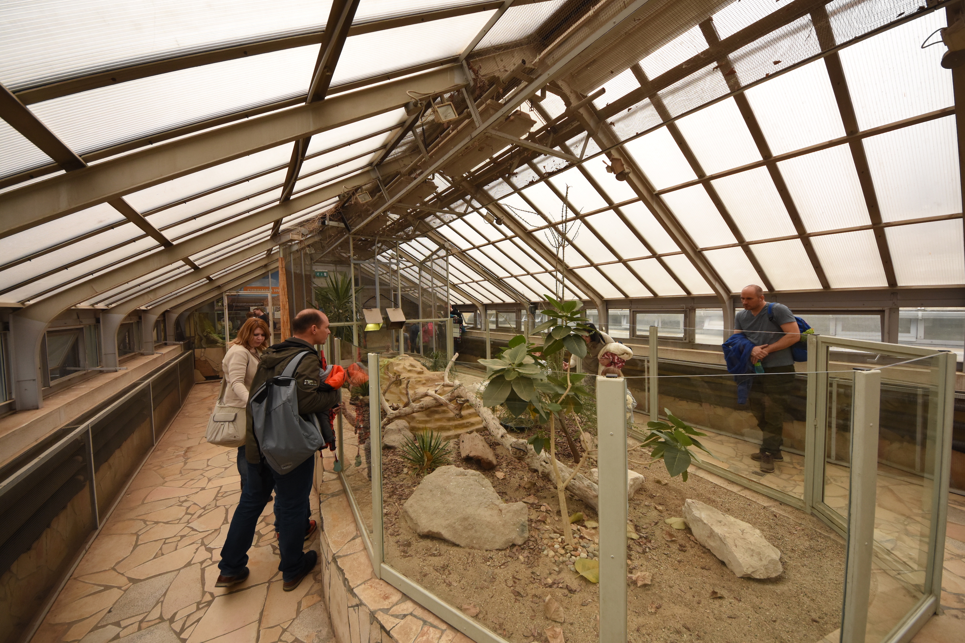 American greenhouse - Chihuahua