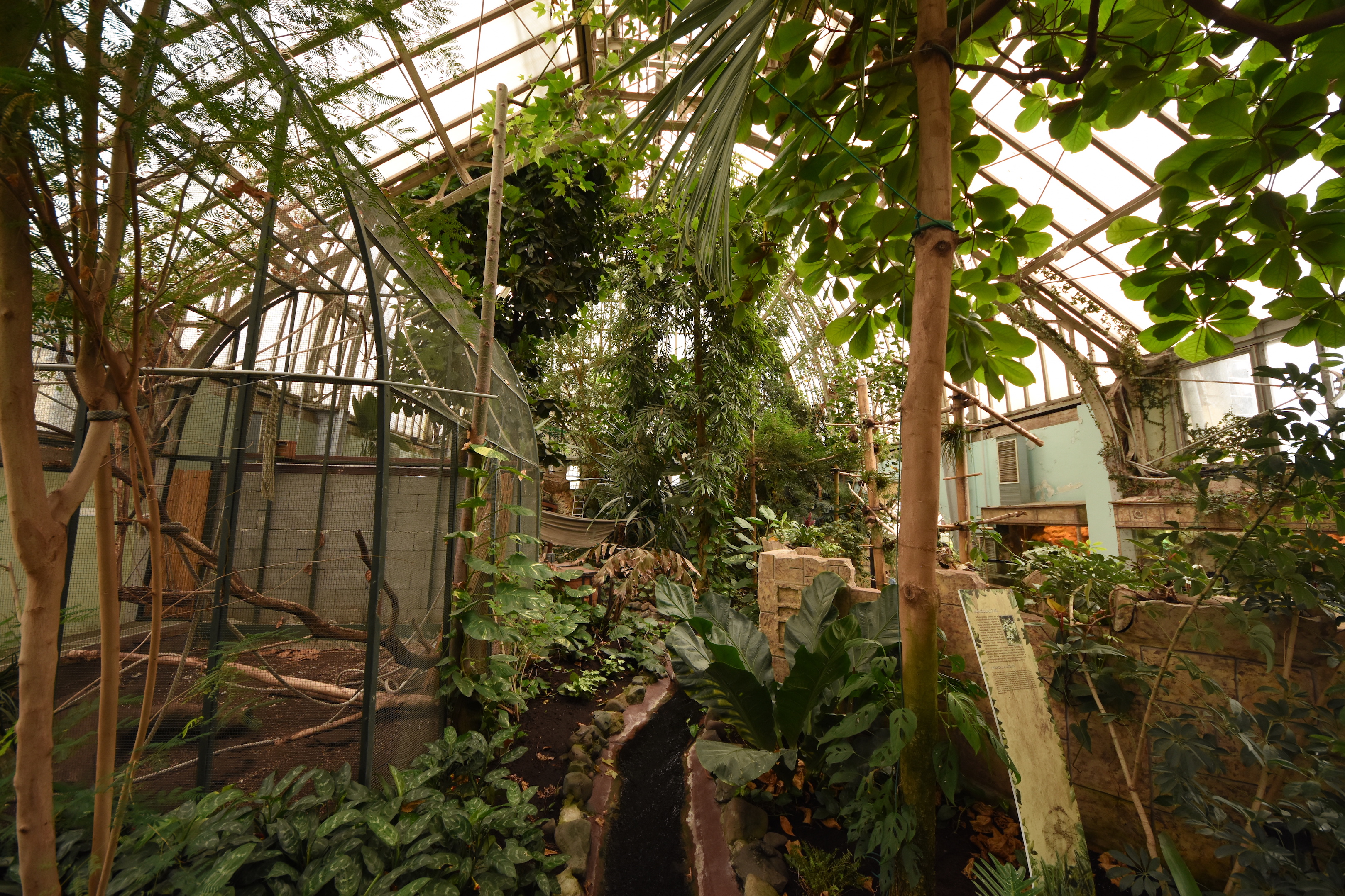 American greenhouse - Palm hall