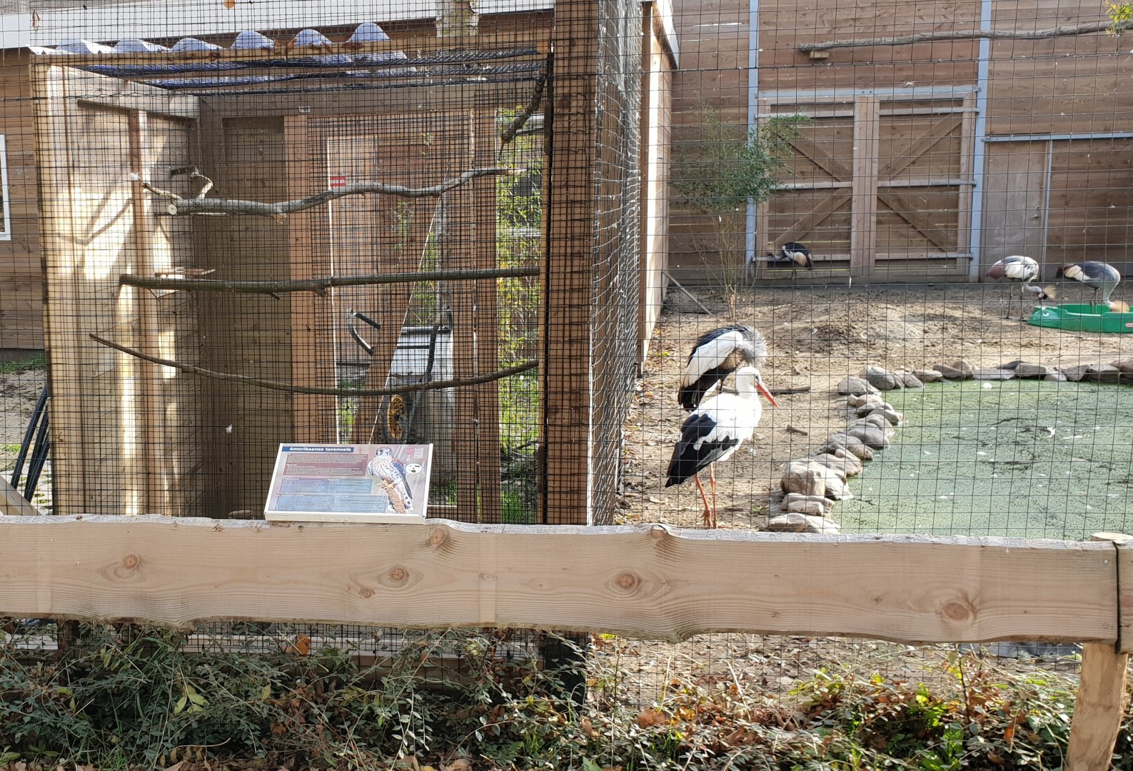 American kestrel and Wader aviaries