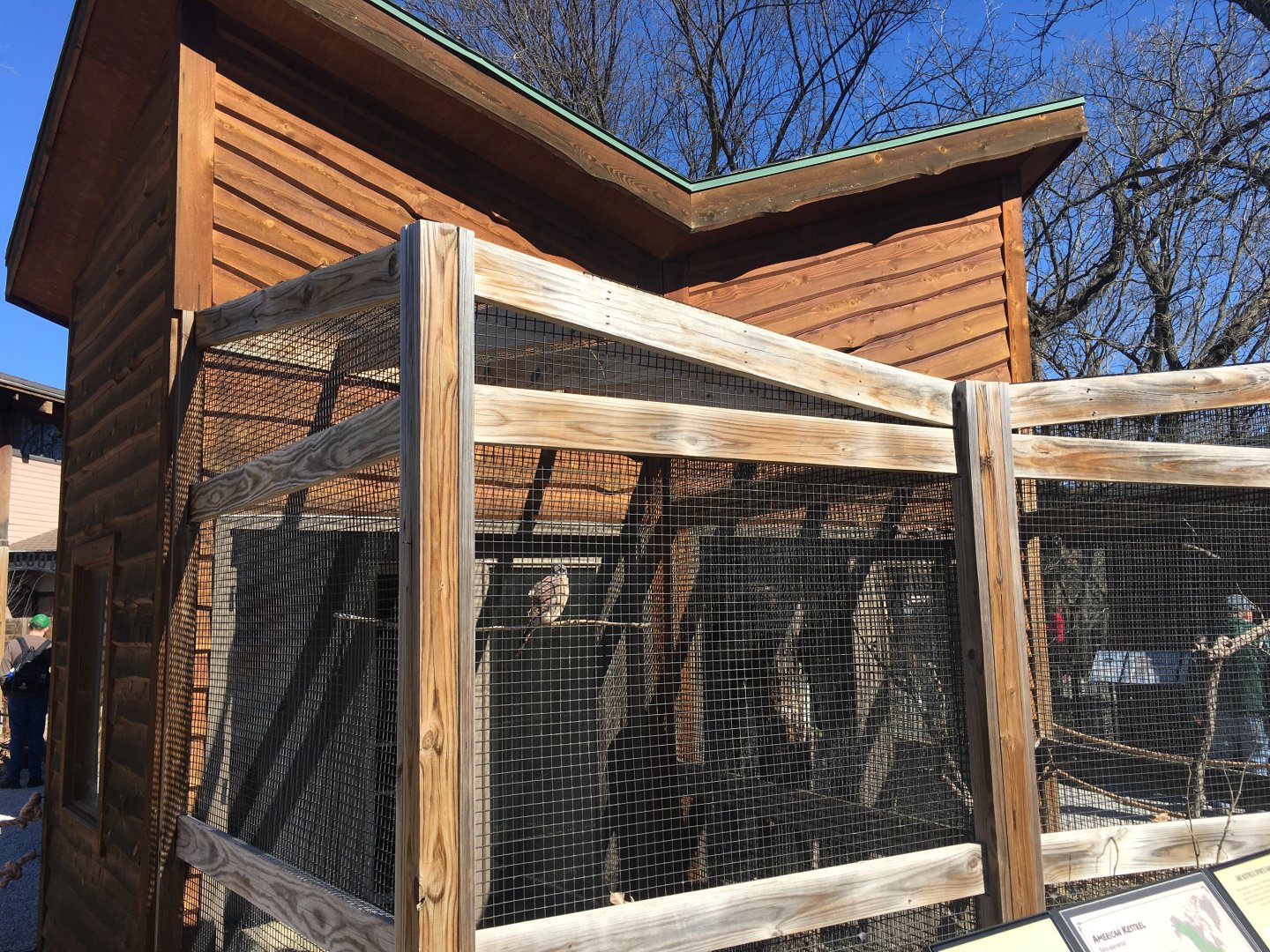 American Kestrel/Barn Owl Building