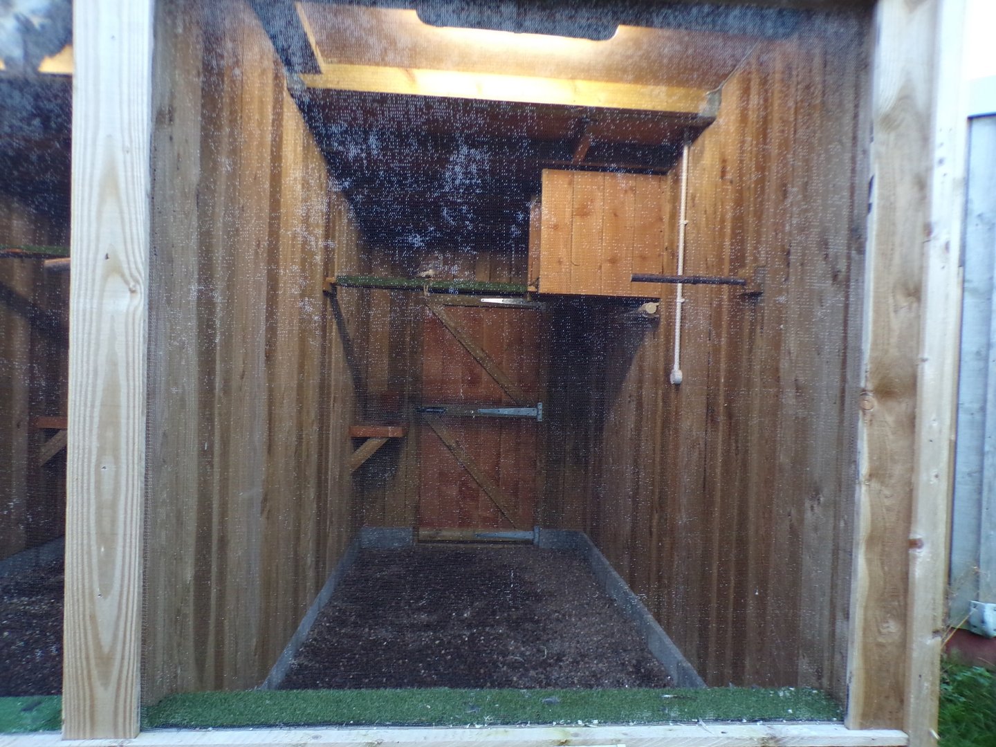 American kestrel cage