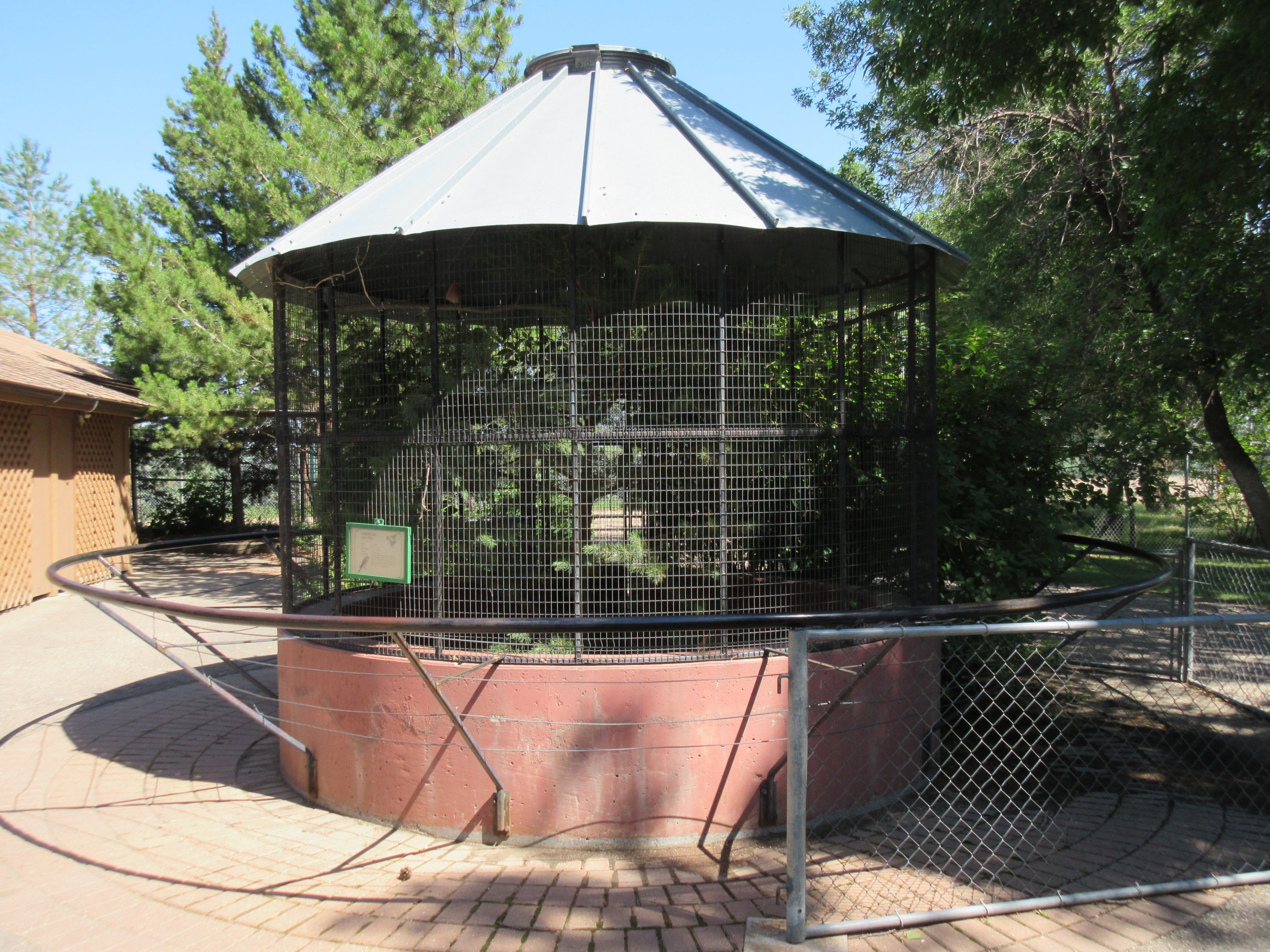 American Kestrel Exhibit