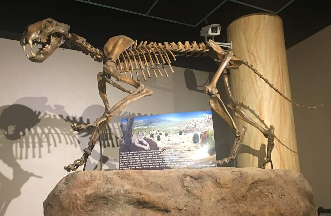 American lion (Panthera atrox)