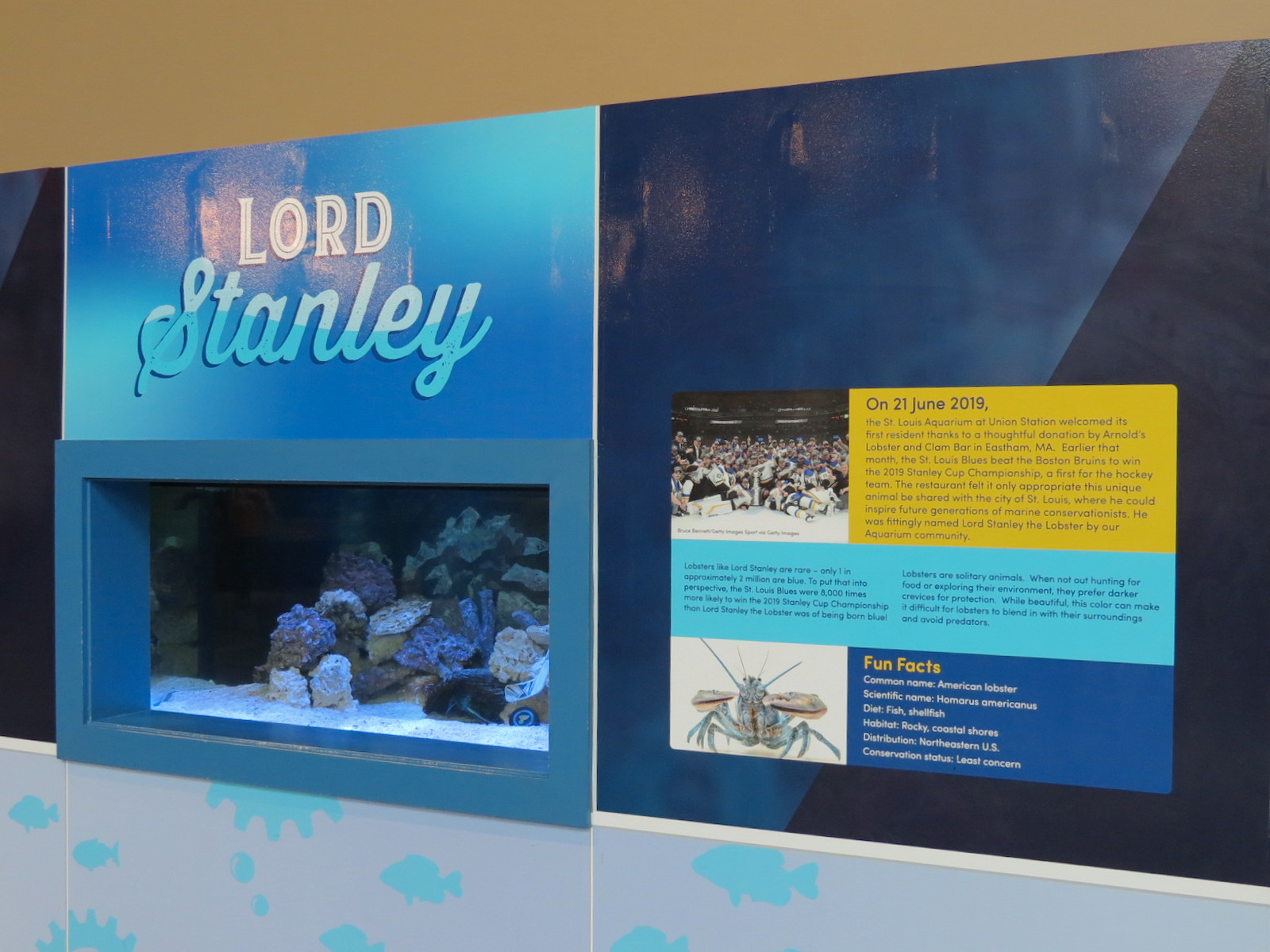 American Lobster Exhibit