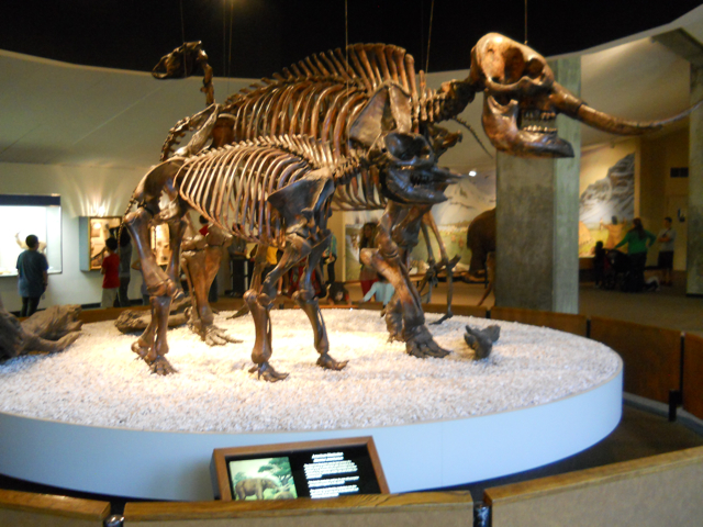 American Mastodons