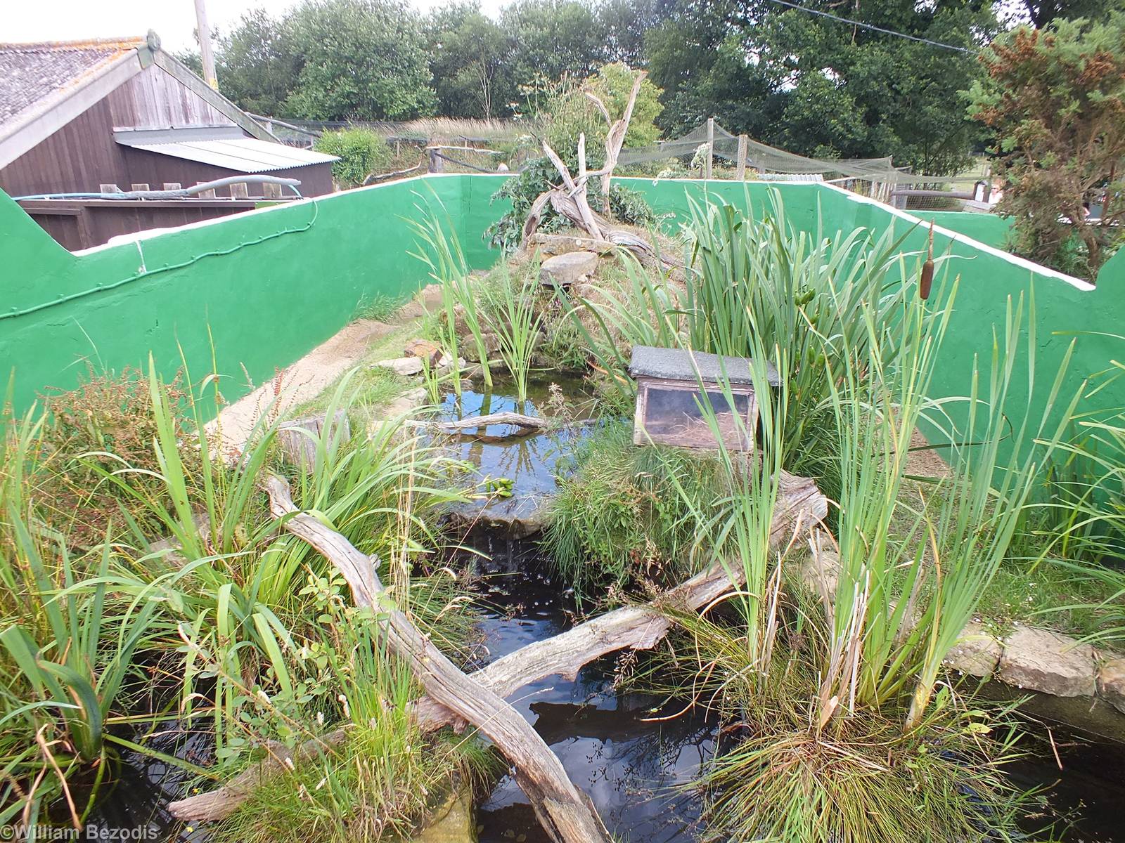 American Mink Enclosure