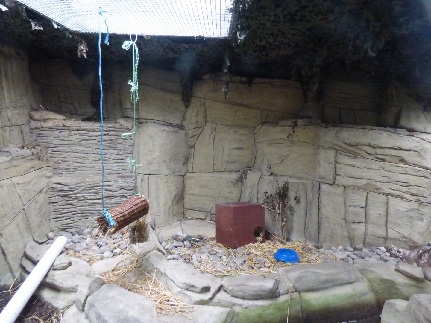 American Mink Enclosure