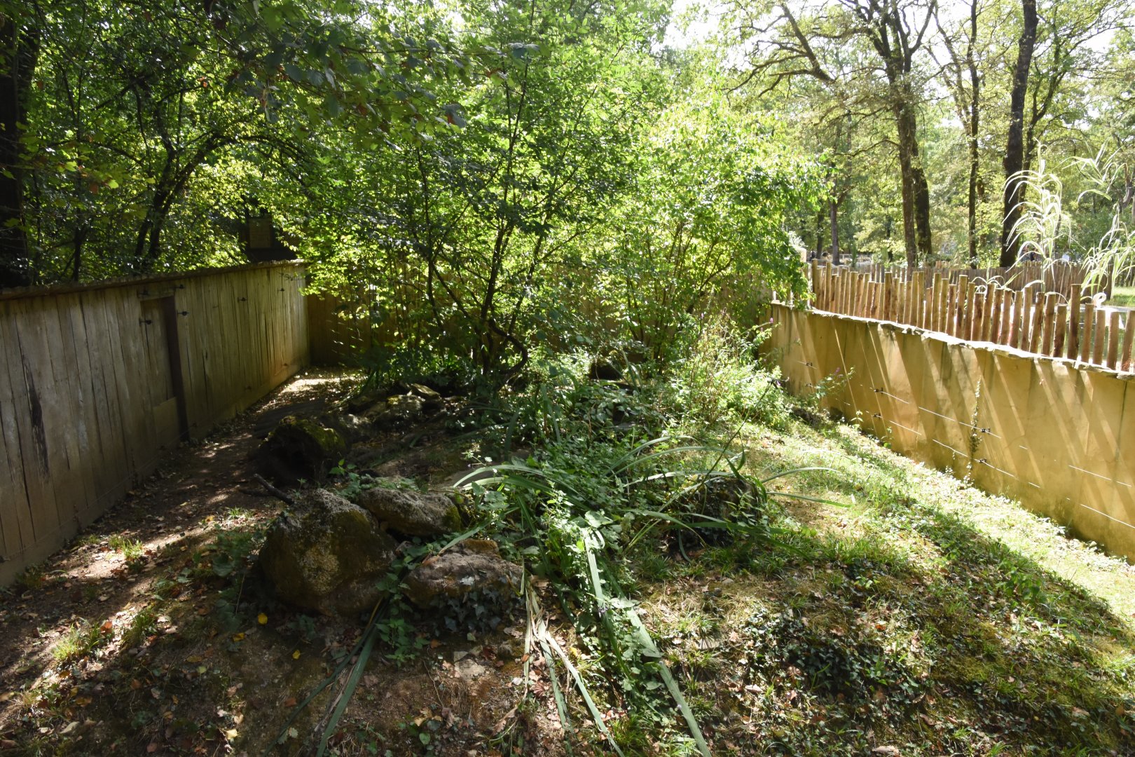 American Mink enclosure