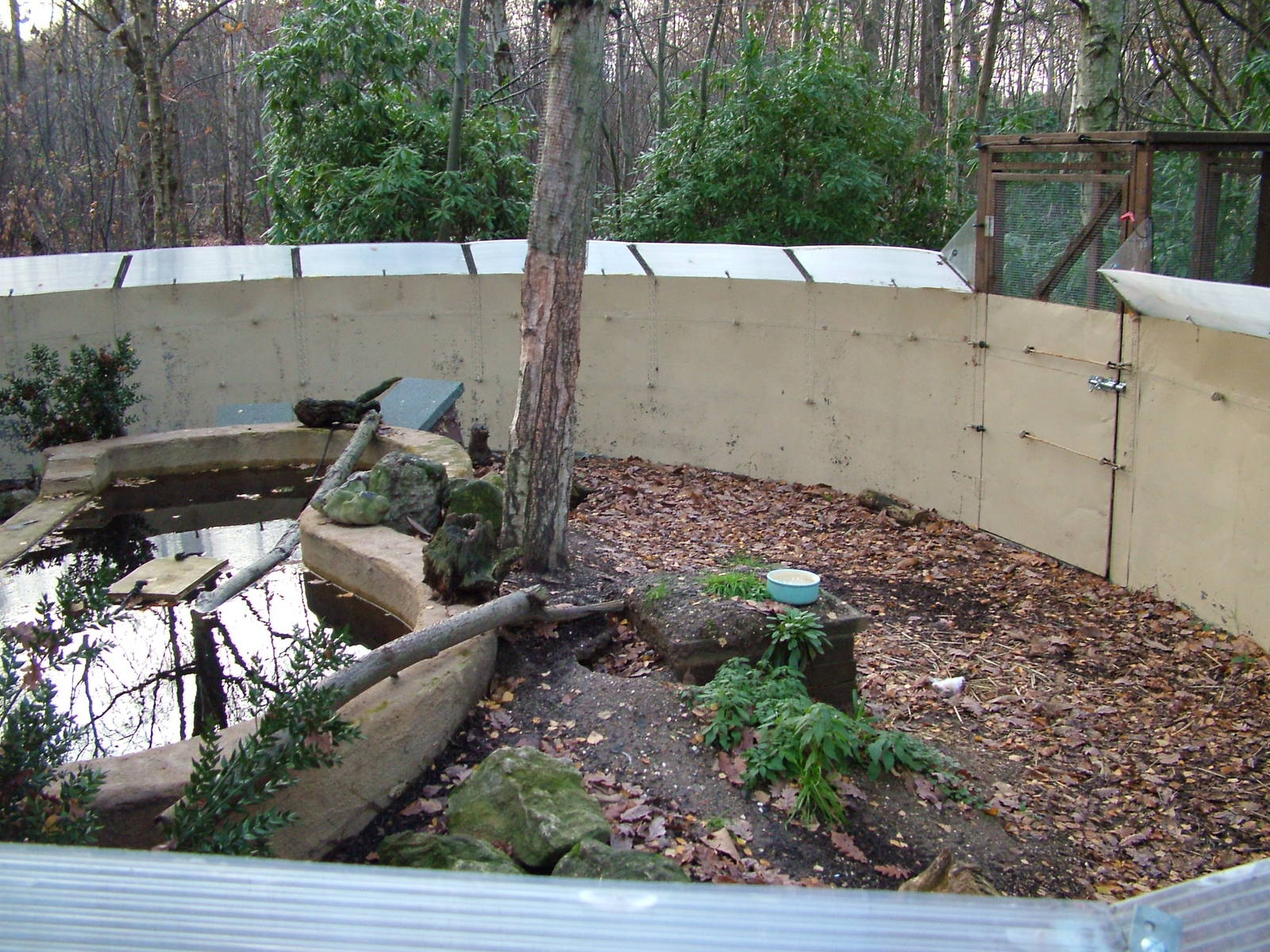 American Mink exhibit at Wildwood 28/11/09