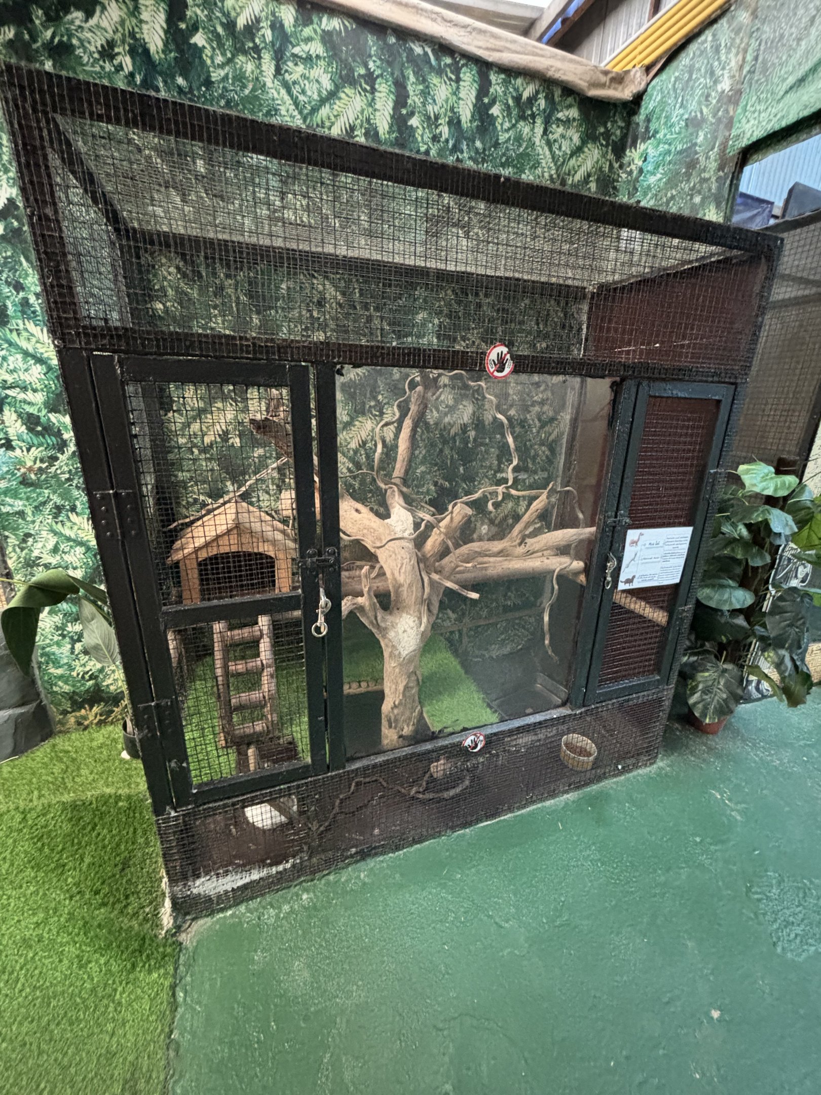 American Mink Exhibit