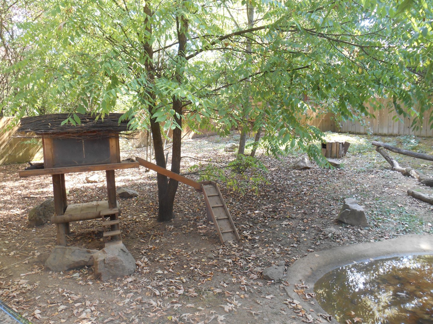 American Minks Exhibit