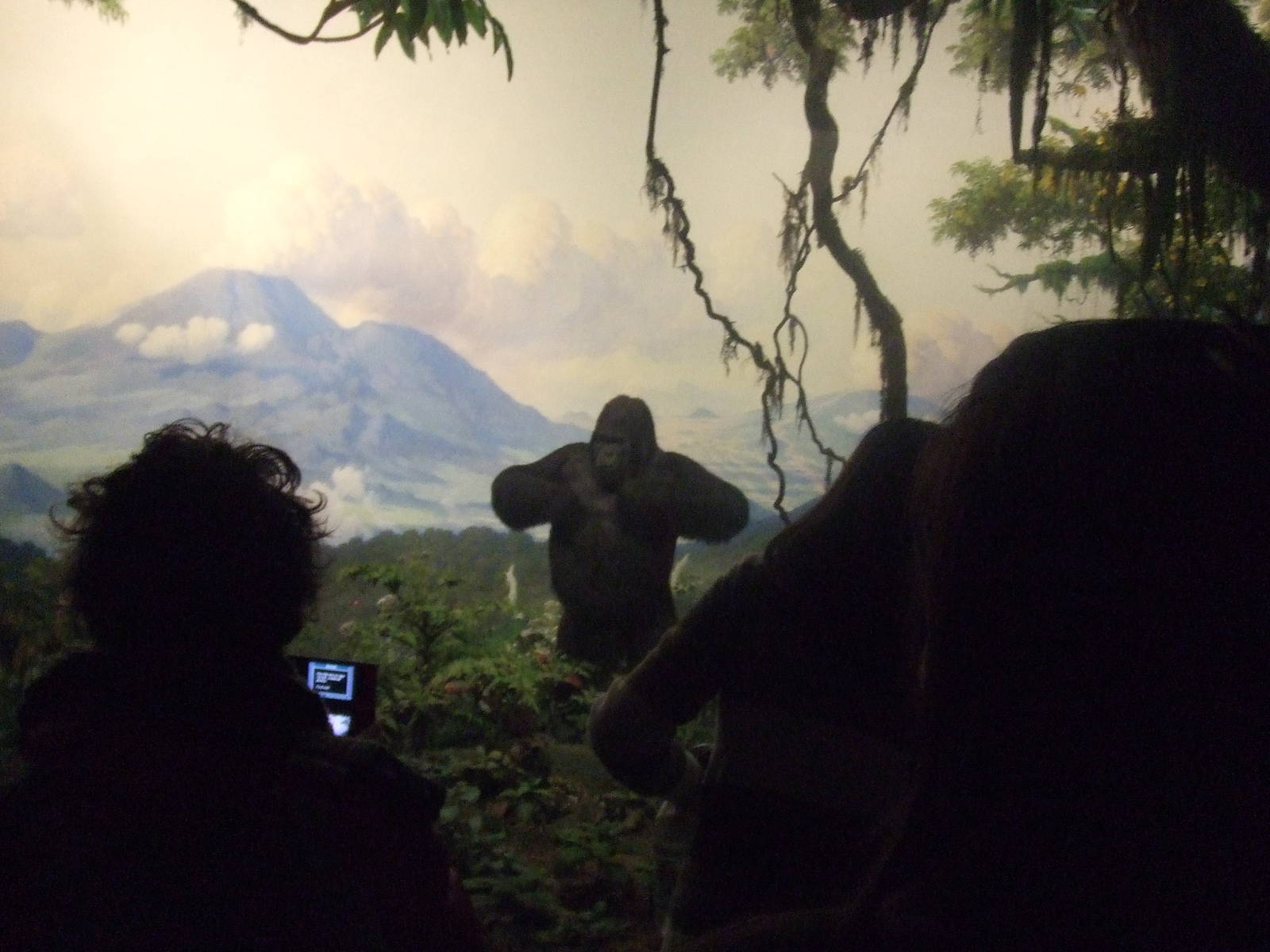 American Museum of Natural History