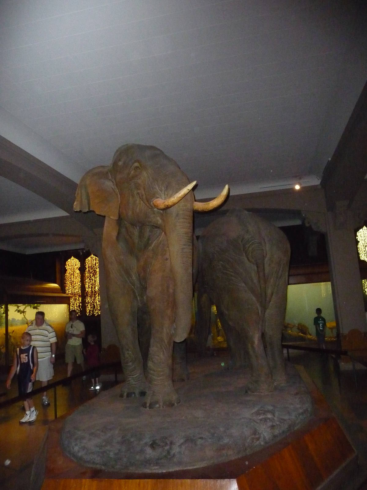 American Museum of Natural History