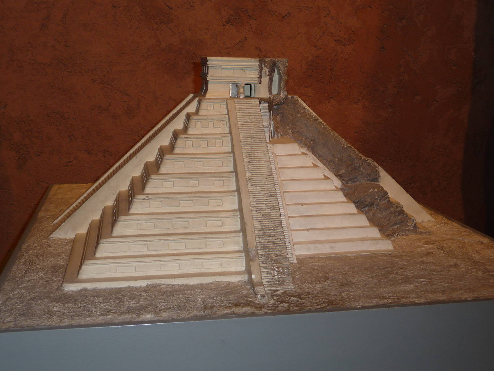 American Museum of Natural History