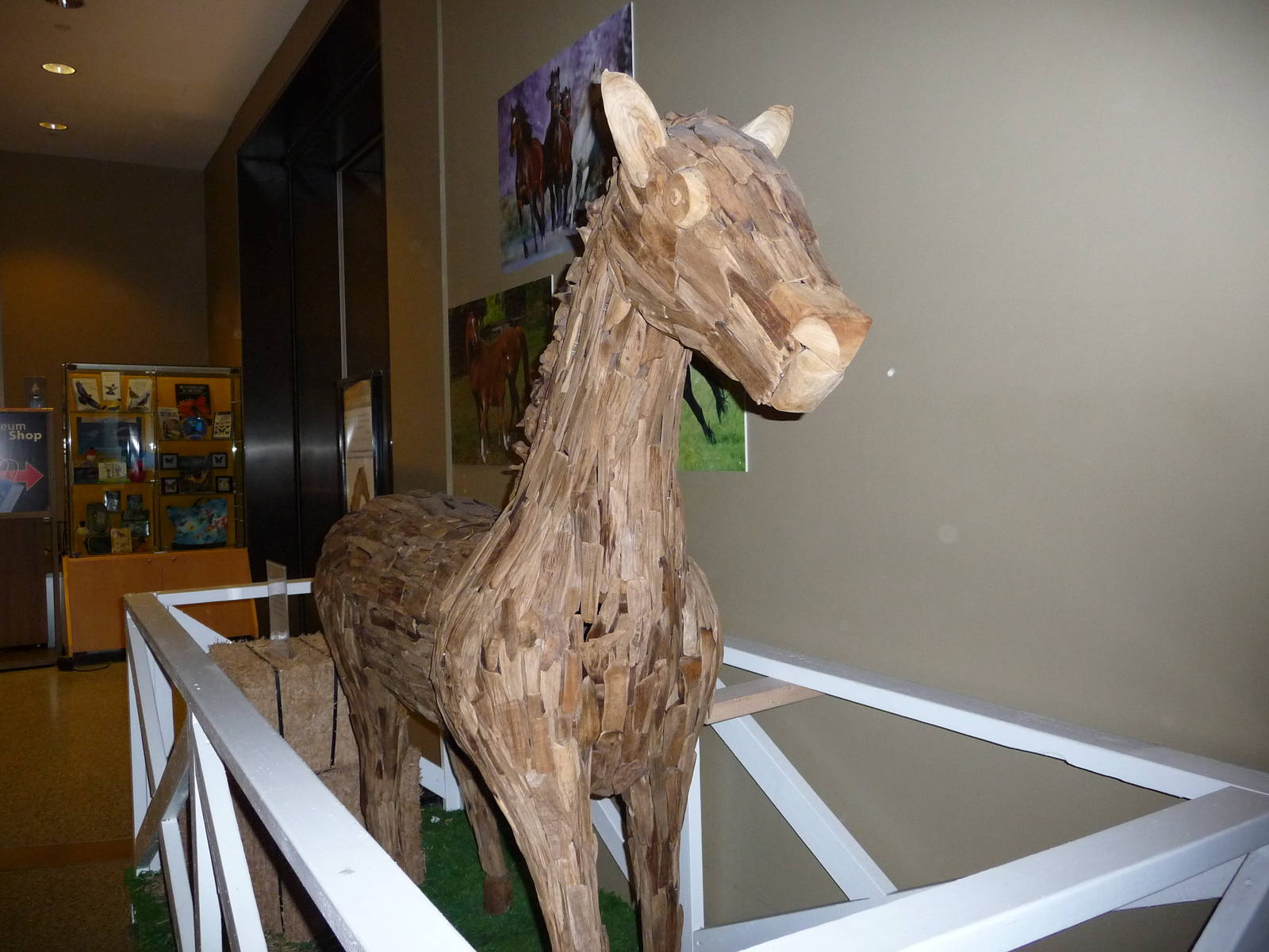 American Museum of Natural History