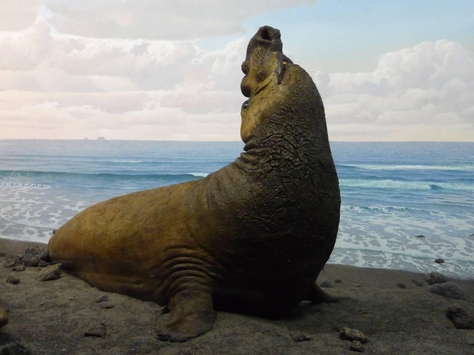 American Museum of Natural History